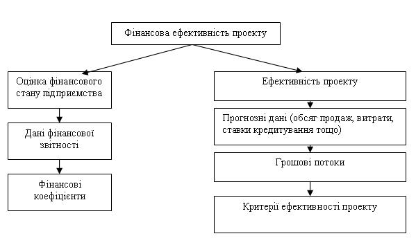 Фінансова ефективність проекту