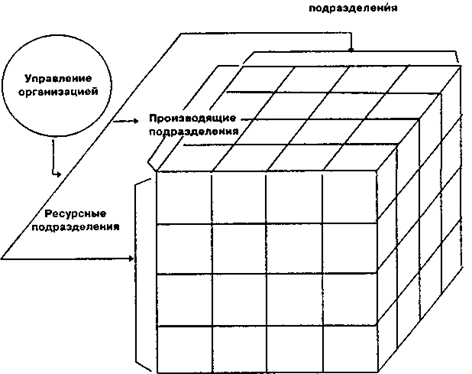 Принципиальная схема структуры многомерной организации