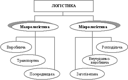 Види логістики