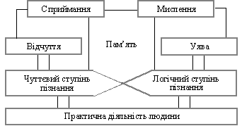 Структура пізнавальної сфери особистості