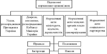 Види підзаконних нормативно-правових актів за формою