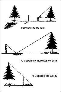 Ориентирование на местности Ориентирование на местности