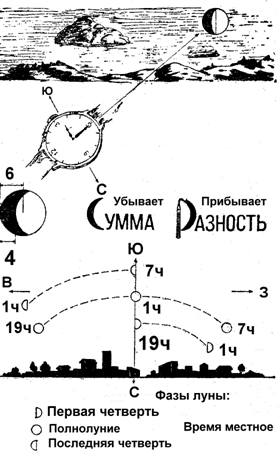 Ориентирование на местности Ориентирование на местности