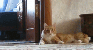 Мультфильм в блокноте Мультфильм в блокноте
