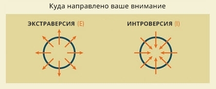 Ответьте честно на 4 вопроса — и мы дадим самую точную оценку вашей личности 16 типов личности