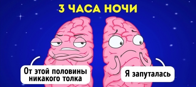 Советы нейробиолога о том, как стать счастливым раз и навсегда Как стать счастливым