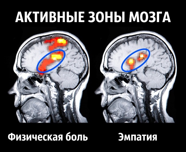 Советы нейробиолога о том, как стать счастливым раз и навсегда Как стать счастливым