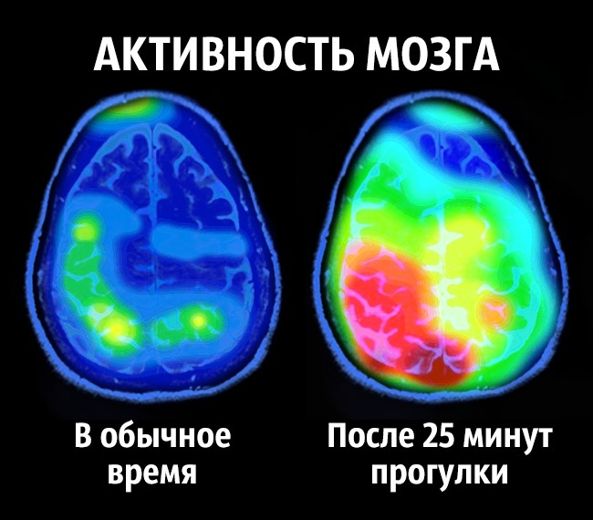 Советы нейробиолога о том, как стать счастливым раз и навсегда Как стать счастливым