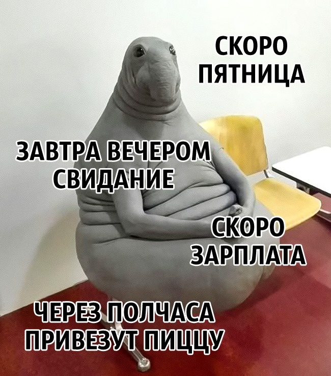 Советы нейробиолога о том, как стать счастливым раз и навсегда Как стать счастливым