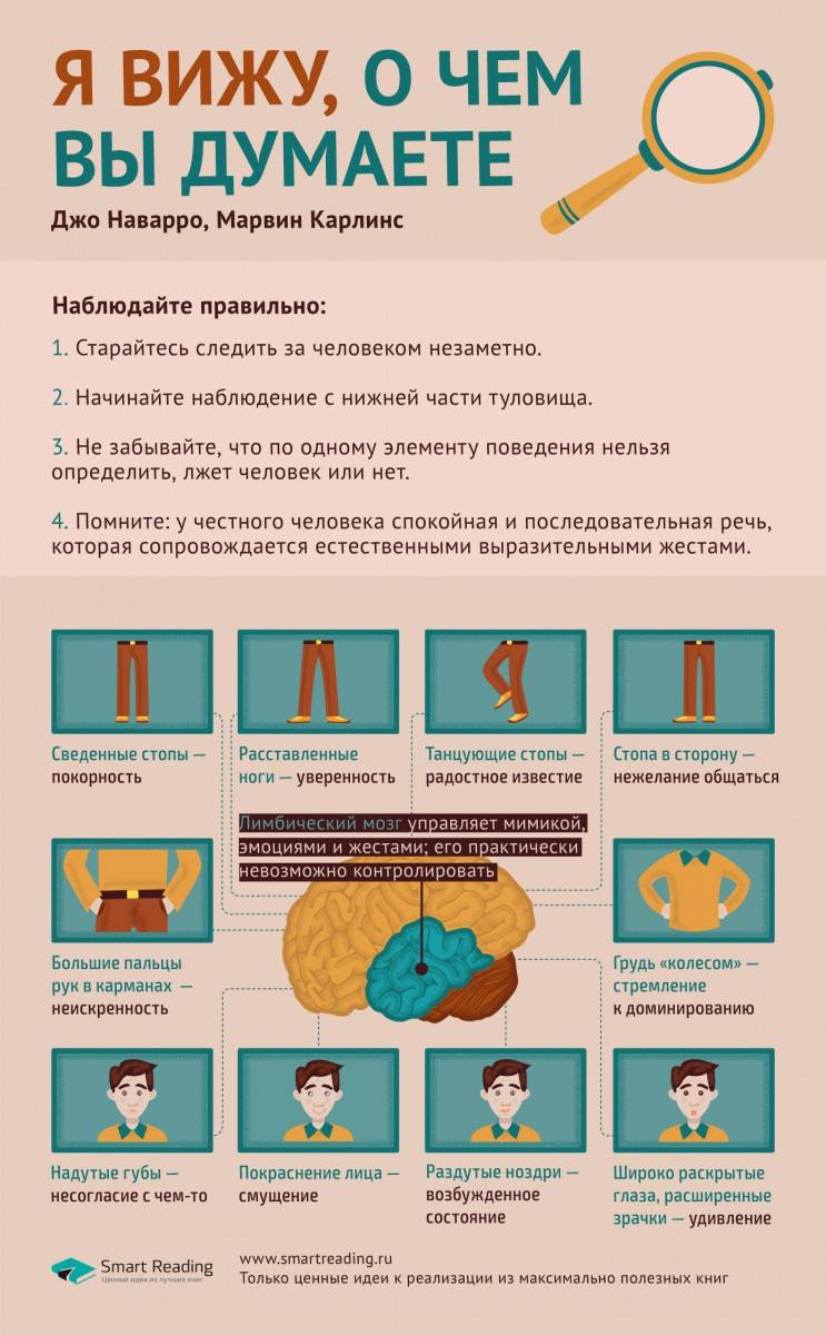 Инфографика-саммари