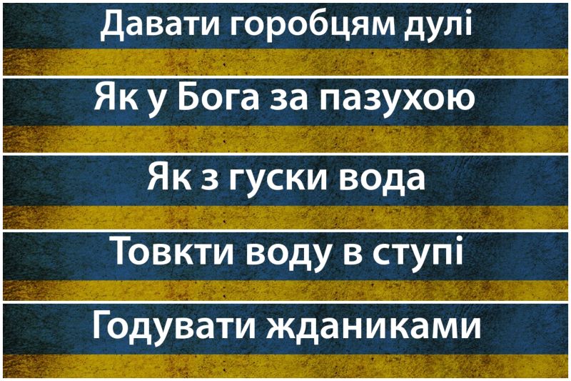 Влучні українські фразеологізми на всі випадки життя Украинские фразеологизмы
