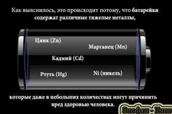 Где сдать использованные батарейки? Адреса Где сдать использованные батарейки? Адреса