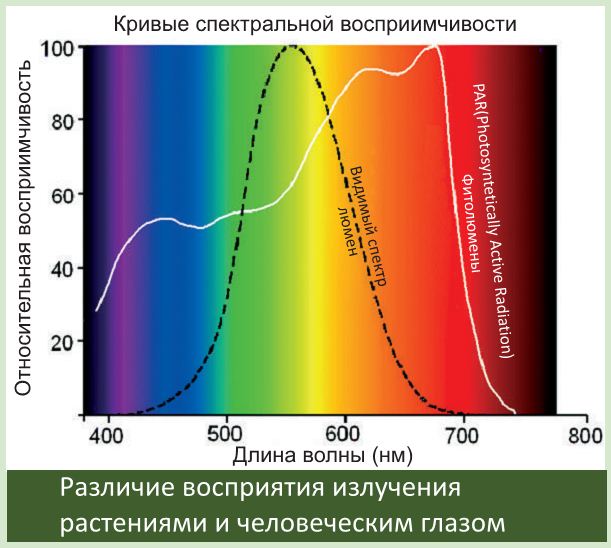 Освещение Аквариума