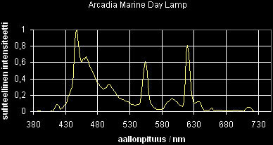 17_sp_ArcadiaMarineWhite