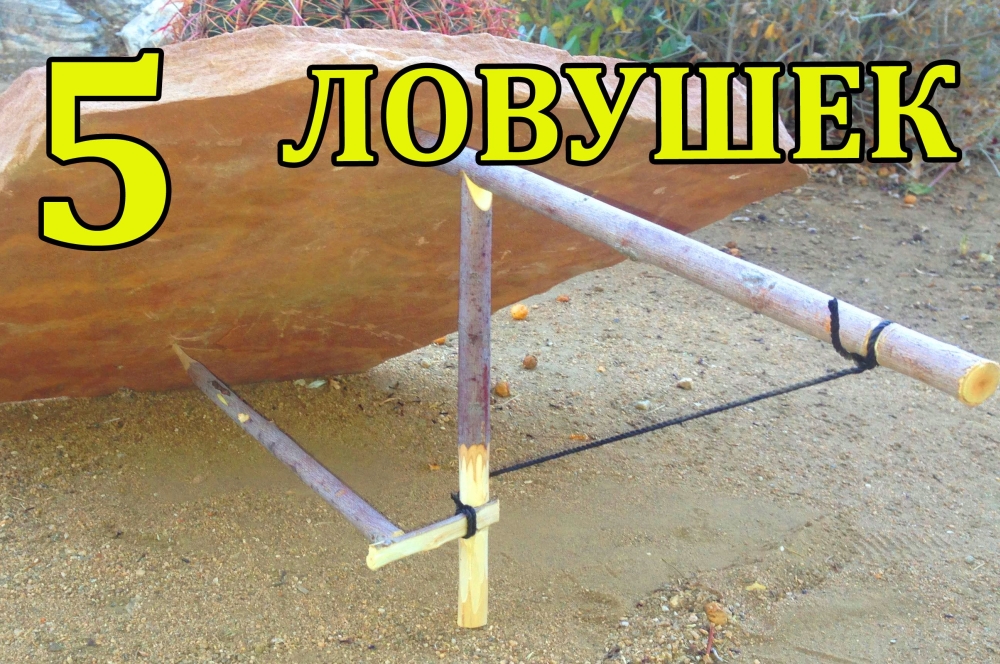 5 лучших ловушек для выживания 5 лучших ловушек для выживания
