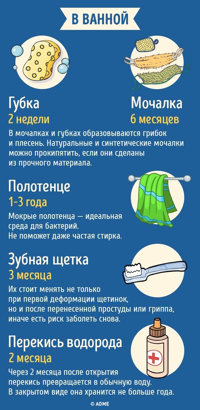 Срок годности бытовых предметов Срок годности бытовых предметов