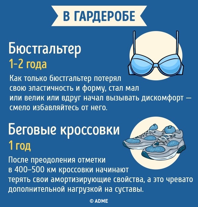 Срок годности бытовых предметов Срок годности бытовых предметов