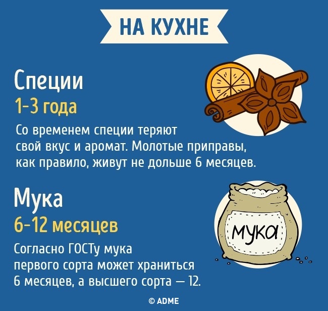 Срок годности бытовых предметов Срок годности бытовых предметов