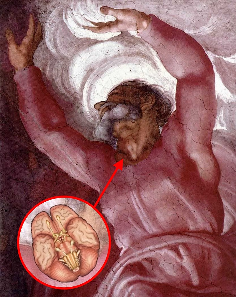 Анатомический код Микеланджело - Мистические тайны известных полотен