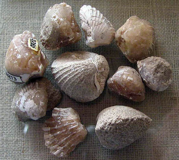 Полудрагоценные камни, Самоцветы