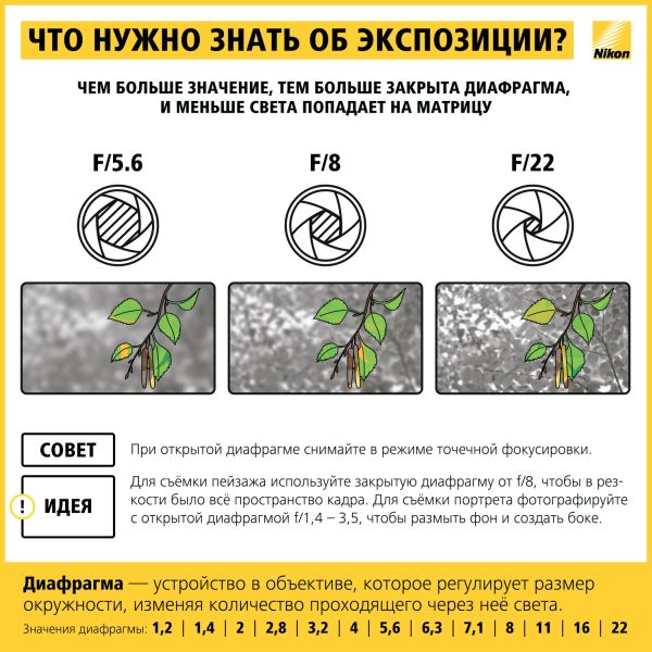 Шпаргалка начинающему фотографу Nikon