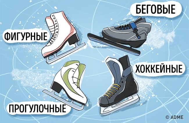 Выбор зимнего снаряжения Выбор зимнего снаряжения